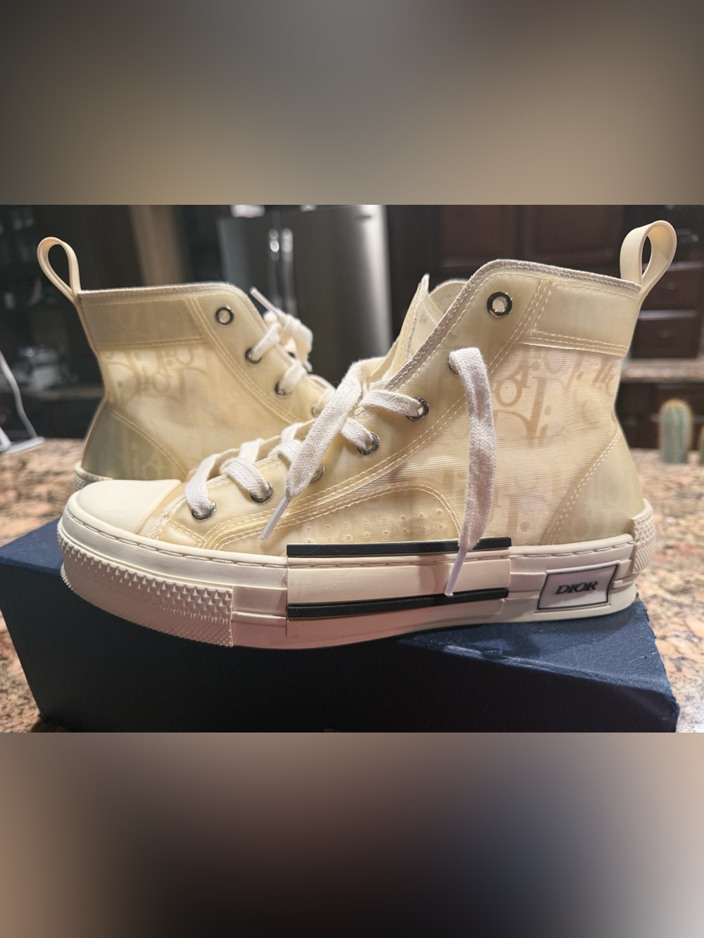Dior Oblique Translucent High Top Sneakers Size 39/8